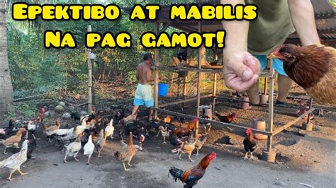 PINAKAMABILIS NA PAG GAMOT SA SIPON NG MANOK!.
